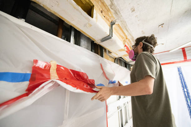 Professional Mold Removal in Geistown, PA